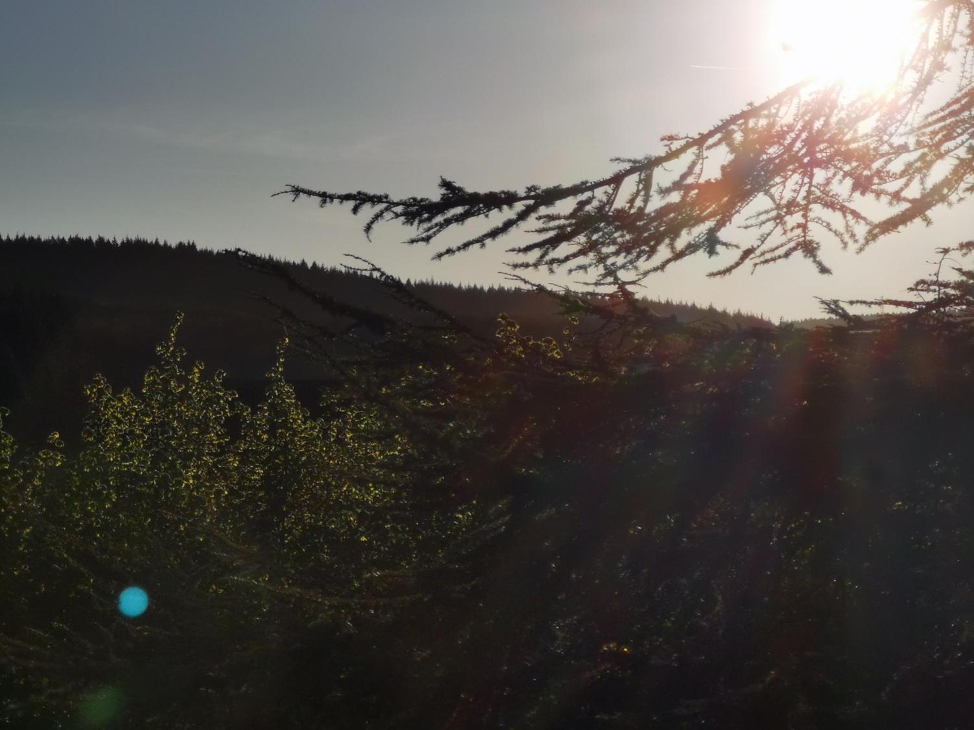 Gite La Bancale Lormes Dış mekan fotoğraf