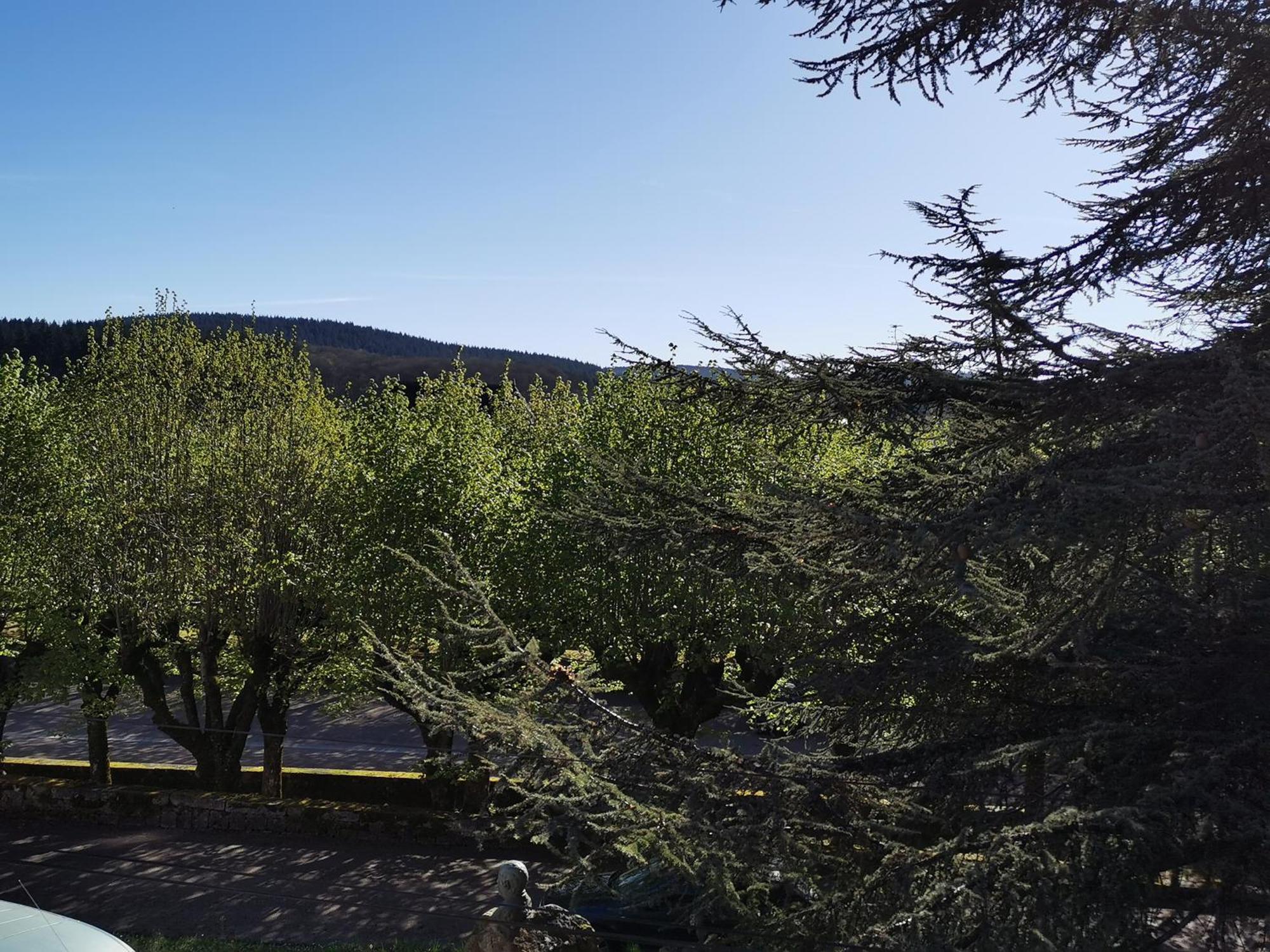 Gite La Bancale Lormes Dış mekan fotoğraf